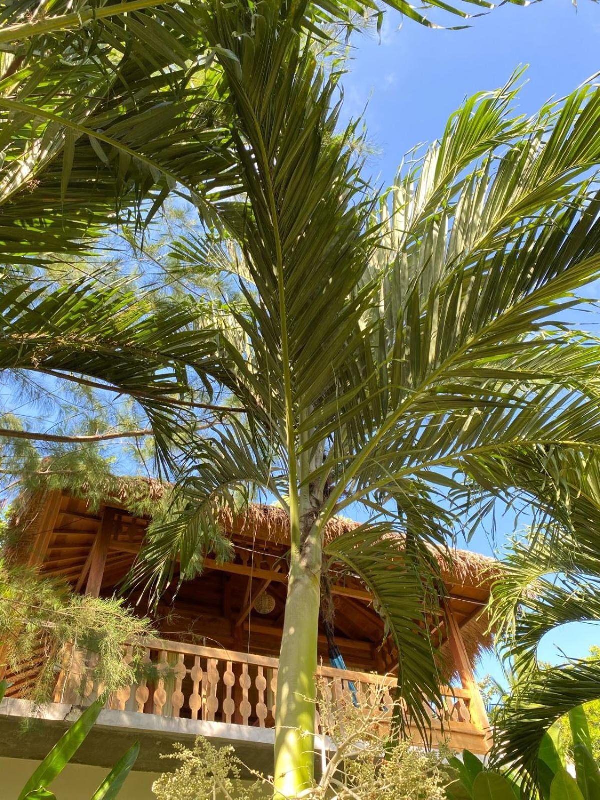 Palm Green Hotel Kuta  Exteriér fotografie